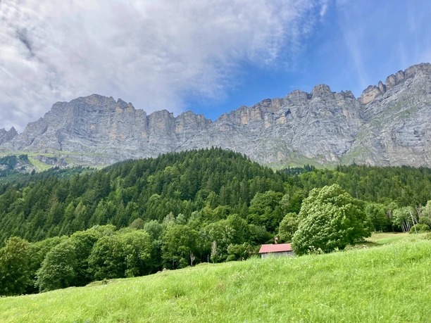 Die wuchtigen Gadmerfühe oberhalb Gadmen.