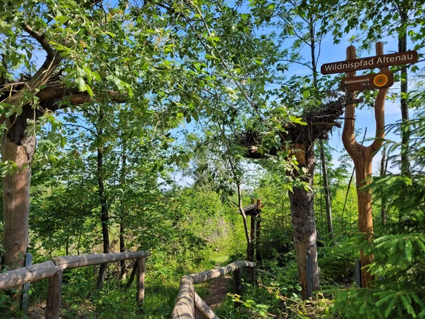 Wildnispfad Altenau