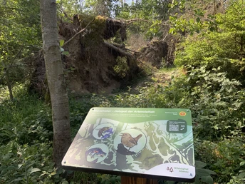 Hinweistafel am Wildnispfad Altenau