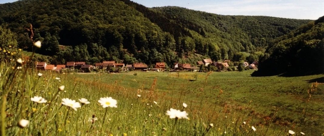 Rund um Lonau (Fotograf: Wilfried Störmer)
