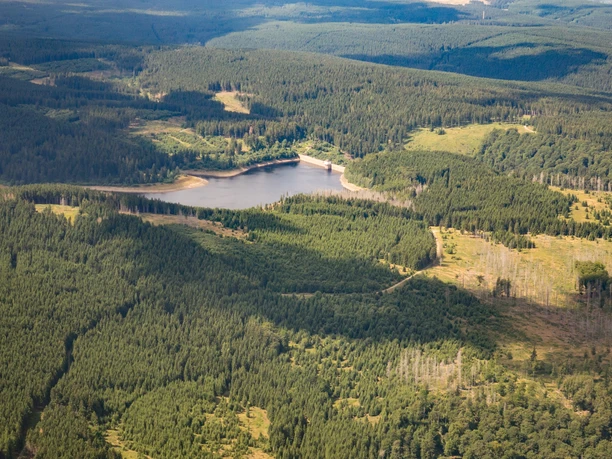 Eckerstausee im Nationalpark Harz