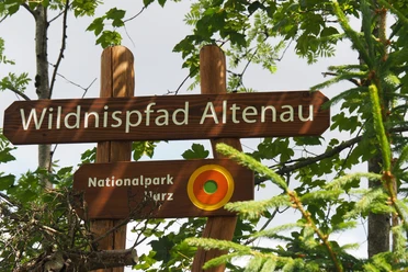 Willkommen auf dem Wildnispfad Altenau