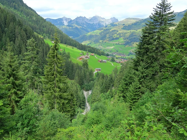 Vue sur la vallée de Simmental.