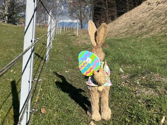 Osterhase unterwegs Richtung Brienzersee
