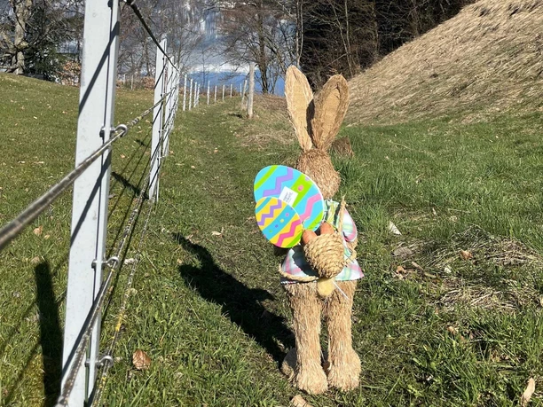 Easter Bunny on the way to Lake Brienz
