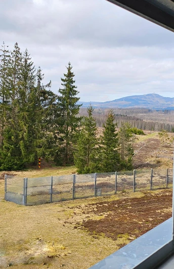 Ausblick aus dem Beobachtungsturm