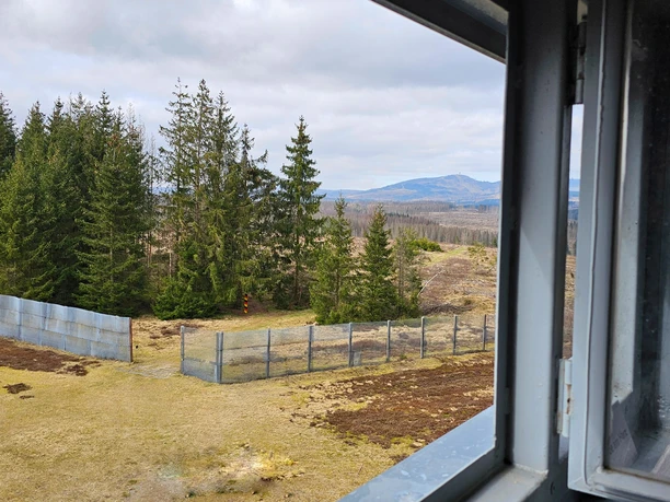 View from the observation tower