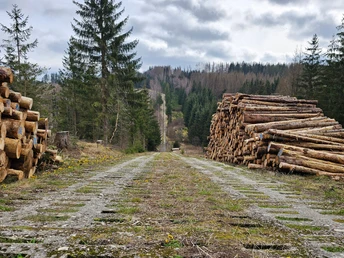 Kolonnenweg bei Sorge