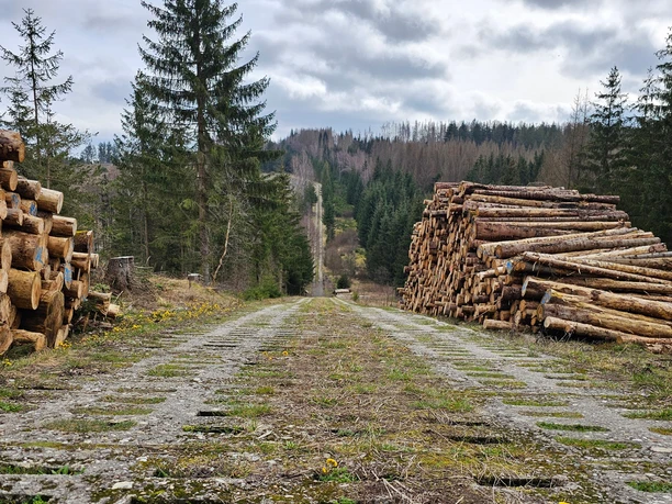 Convoy route near Sorge