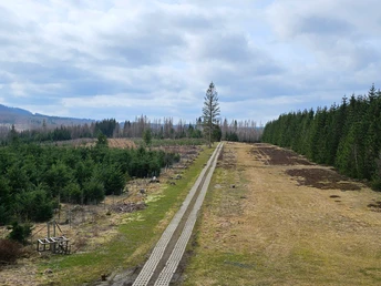Kolonnenweg im Freiland-Grenzmuseum Sorge