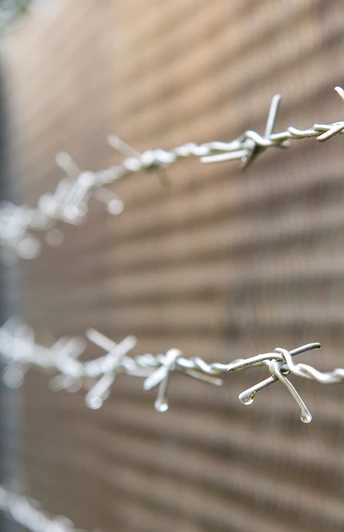 Grenzzaun in der Grenzlandschaft Sorge