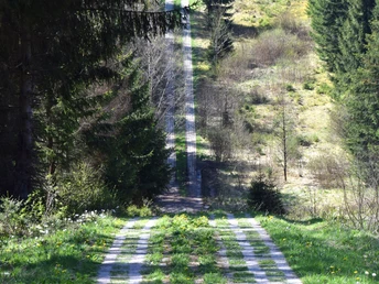 Kolonnenweg entlang der ehem. innerdeutschen Grenze
