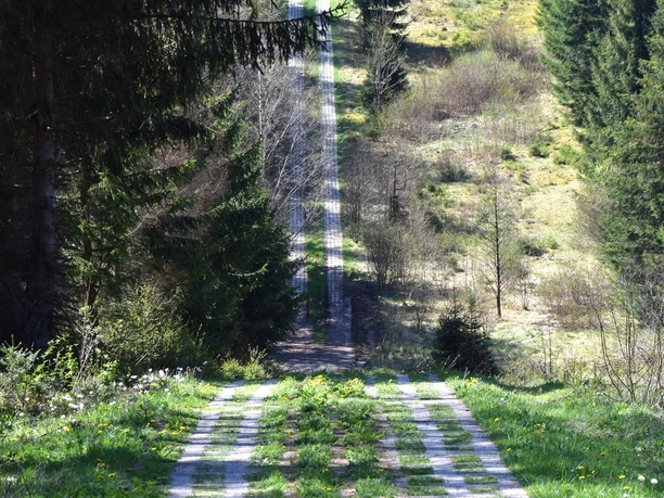 Kolonnenweg entlang der ehem. innerdeutschen Grenze