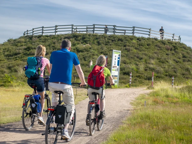 Aussichtshügel im Dalum-Wietmarscher Moor ©TMN GmbH, Sabine Braun Fotografie-82.jpg Europa, Deutschland, Niedersachsen, Emsland,