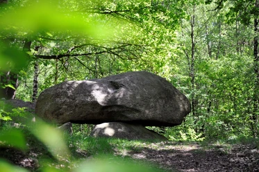 Großsteingrab Apeldorn