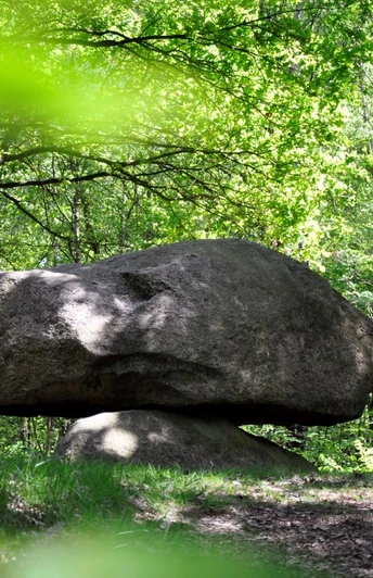 Großsteingrab Apeldorn