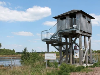 Torfwerk Hahnenmoor, Herzlake