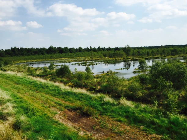 Naturschutzgebiet und Torfwerk Hahnenmoor