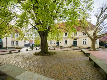 Universitätsplatz und Professorenhaus