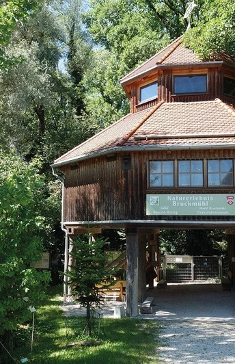 Salus-Auwald-Biotop, Bruckmühl