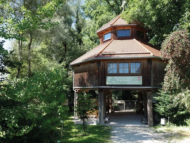 Salus-Auwald-Biotop, Bruckmühl