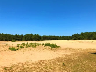 Lohner Sand