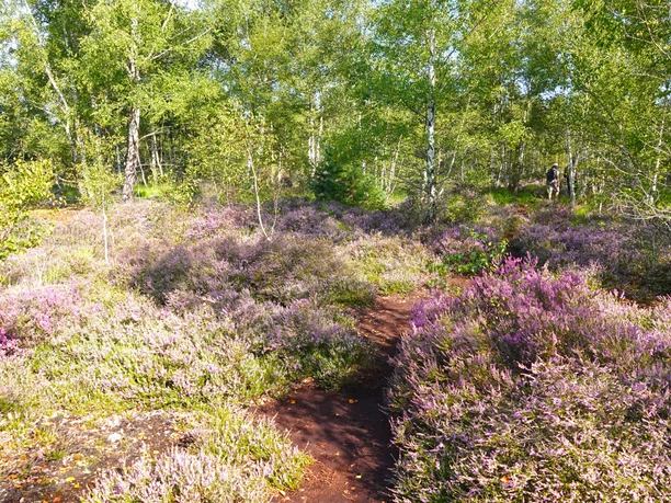 Zwergen Route