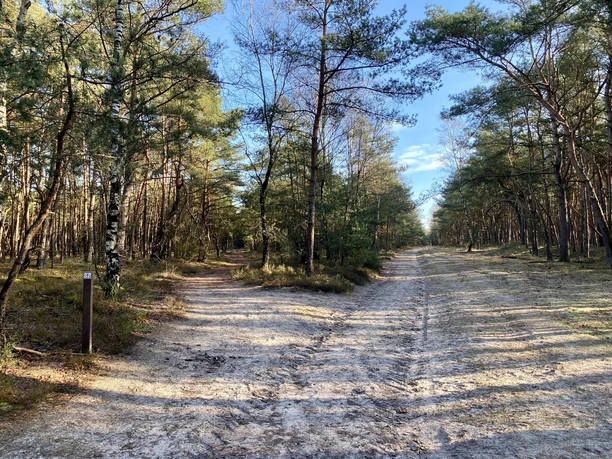 Sandwege im Wesuweer Wald