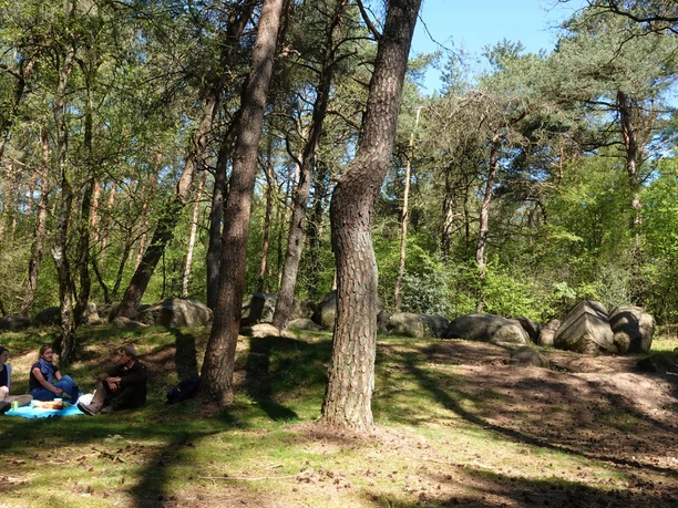 Großsteingrab im Großen Sande