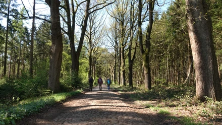 Historische Straße