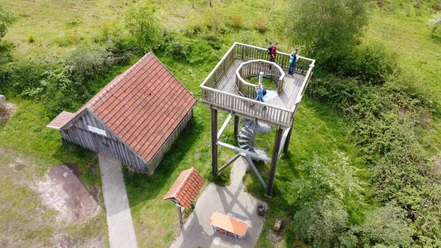 Niederlangen Kapellenmoorgraben