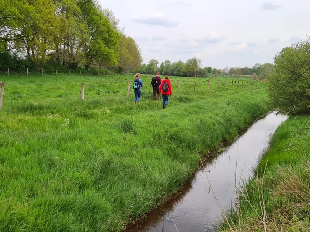 Niederlangen Kapellenmoorgraben
