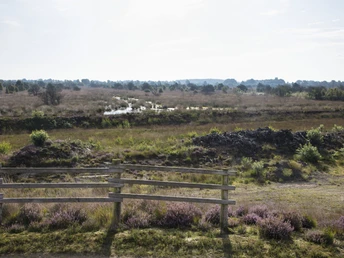 Aussichtshügel Dalum-Wietmarscher Moor