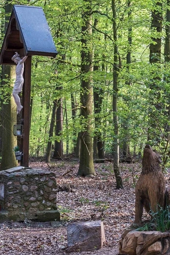 Fototour durch das Herzford und die Elberger Schlipse