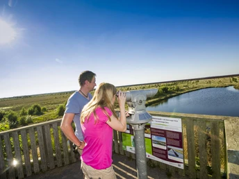 MoorInfoPfad Esterwegen ©Gemeinde Esterwegen (17)