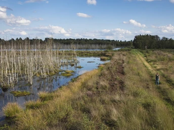 Theikenmeer 05 ©Naturpark Hümmling, Holger Leue – XL near Werlte, Emsland, Lower Saxony, Germany