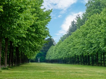 Emslandmuseum Schloss Clemenswerth, Sögel – Blick auf Platzhirsch