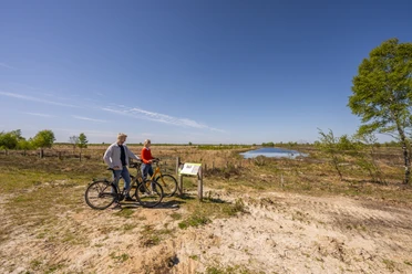 Radfahrer im Bargerveen 2
