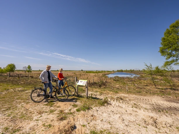 Radfahrer im Bargerveen 2