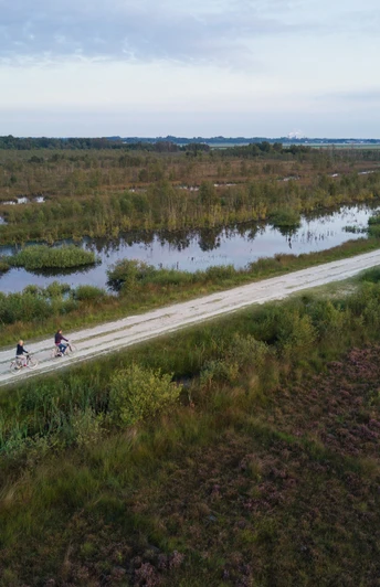 Naturreservat Bargerveen