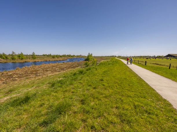 Radfahrer im Bargerveen