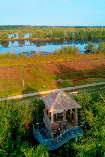 Natura Gebiet 2000 Bargerveen