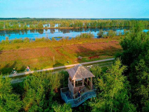 Natura Gebiet 2000 Bargerveen