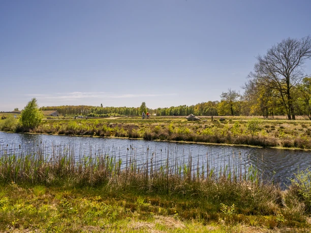 Radfahrer im Bargerveen