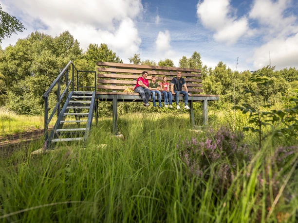Familienausflug - XXL-Bank im Provinzialmoor ©Emsland Tourismus GmbH (2)