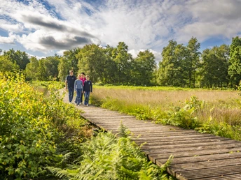 Familienausflug - Emsland Moormuseum, Holzsteg Hochmoorfläche ©Emsland Tourismus GmbH (2)