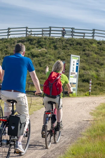 Aussichtshügel Dalum Wietmarscher Moor