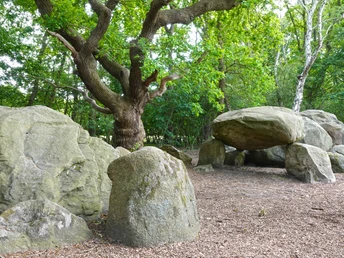 Großsteingrab Bruneforths Esch