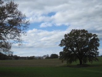 Ghersburgwald