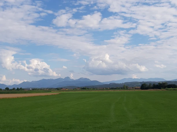 Panoramablick von Ginsham